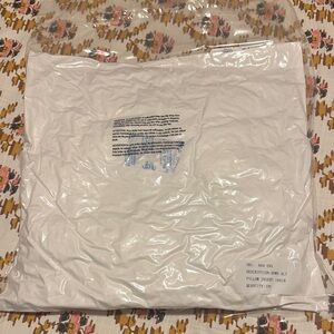 Crate and Barrel 18x18 White Pillow Insert